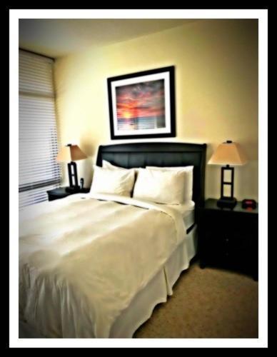 Boq Lodging In Rosslyn واشنطن المظهر الخارجي الصورة